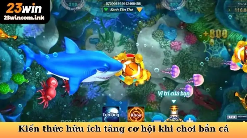 Kiến thức hữu ích tăng cơ hội khi chơi bắn cá